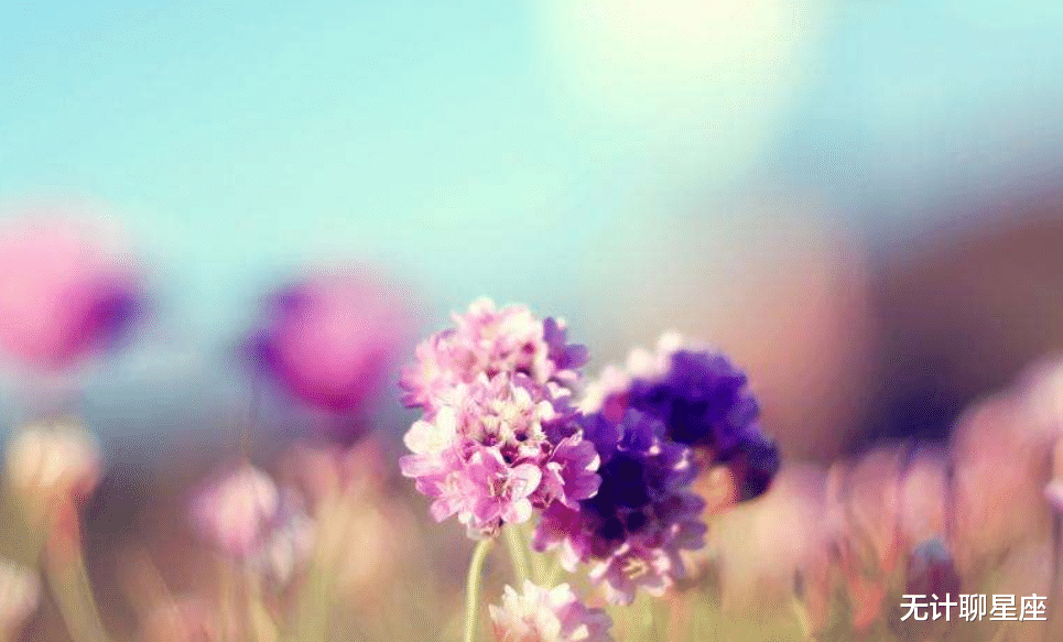 属狗|一周内好运爆棚的4个星座,做到这些,事业会出现转机