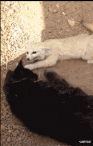 |“新来的老板娘，每天午睡都来办公室，”要不要提醒她一下呢……