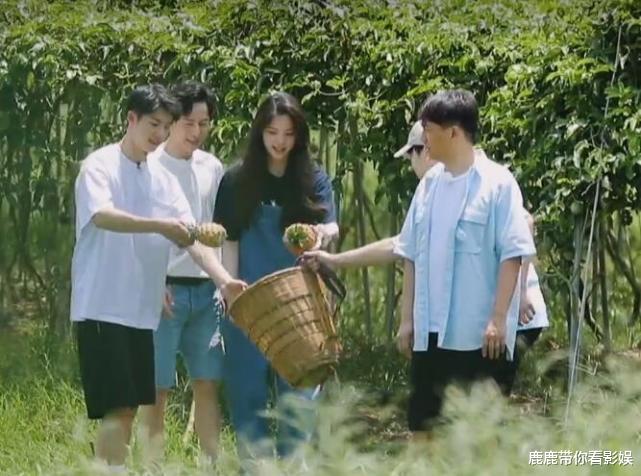 彭昱畅|嘉宾下地摘了水果,谁注意彭彭跟来干嘛了?难怪节目组没换掉他