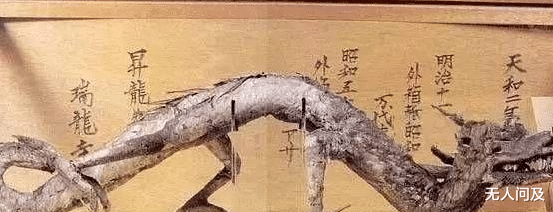 『日本』\流失日本的4大文物，一件是“肉身菩萨”，一件是“真龙”标本\