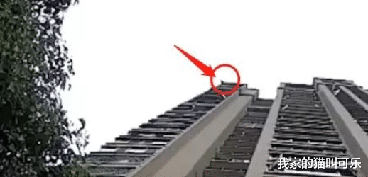 教师|江西女教师32楼跳下来咋回事?