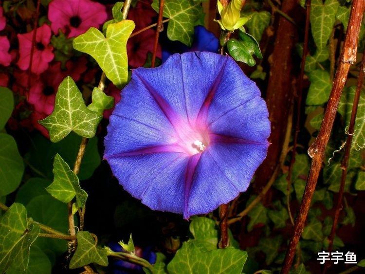 运势|9月开始翻身赚大钱，有贵人助力，余生都幸福的四大生肖