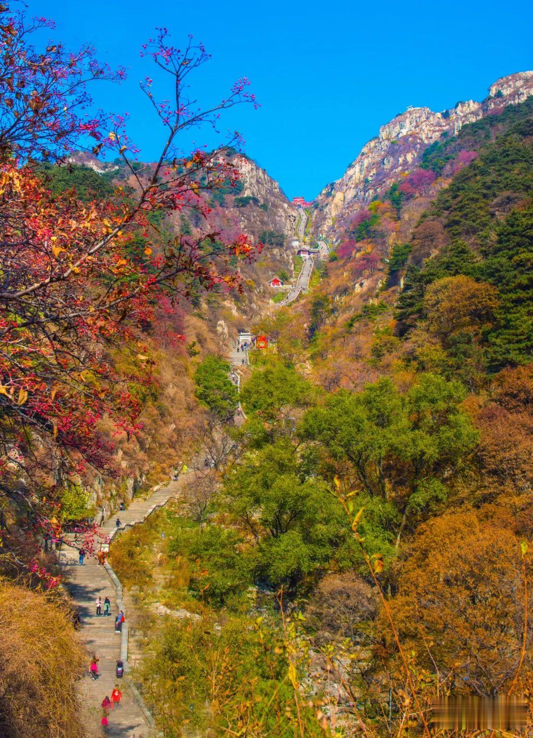 |有此美景 何必远行