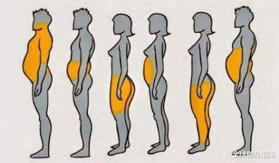 #健身#有问必答丨长期不锻炼,肌肉会不会变肥肉?