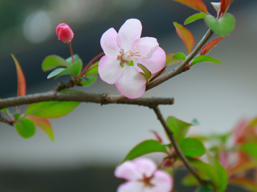 运势|11月下旬，4属相运势大好，贵人相助，财运旺盛，生活富足无忧