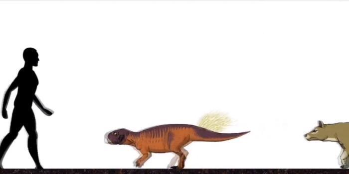 恐龙|远古时期的地球, 曾存在过的可怕生物, 今已全部灭绝