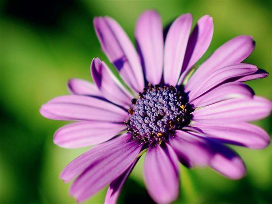 生肖■能和这3个生肖女在一起,家庭和谐,很能照顾丈夫