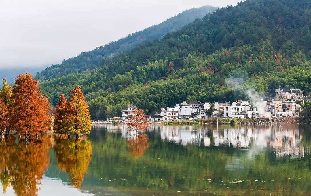 塔川|不愧为全国四大秋色之一 真的宛若童话世界