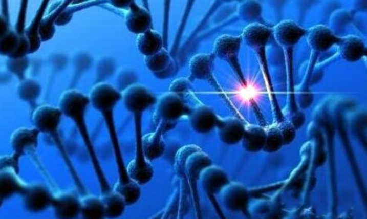 科学家|1亿年之后，人还是人吗？科学家给出的模拟图让人惊讶