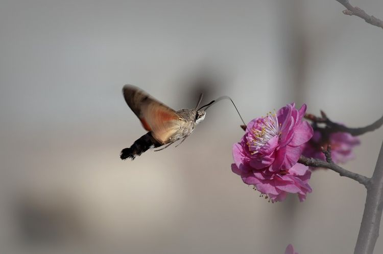 生肖|未来7天，财神助运，3生肖鸿福旺盛，财富多金不愁钱