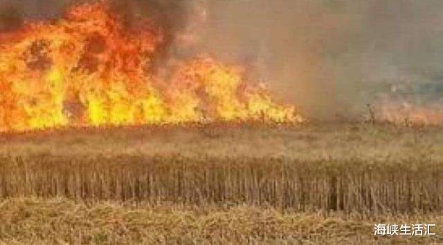 【美军】大批航母隐身机就位，美军动手前兆出现了？张召忠对此早有预言