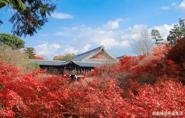 ：领导最反感员工有这4种表现，中2个以上，升职加薪就别指望了！