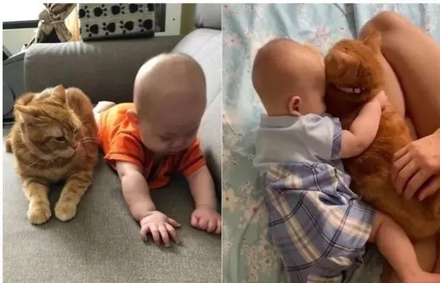 喵星人占了小主人的摇摇椅，小主人睡了猫枕，妈妈看了哭笑不得！