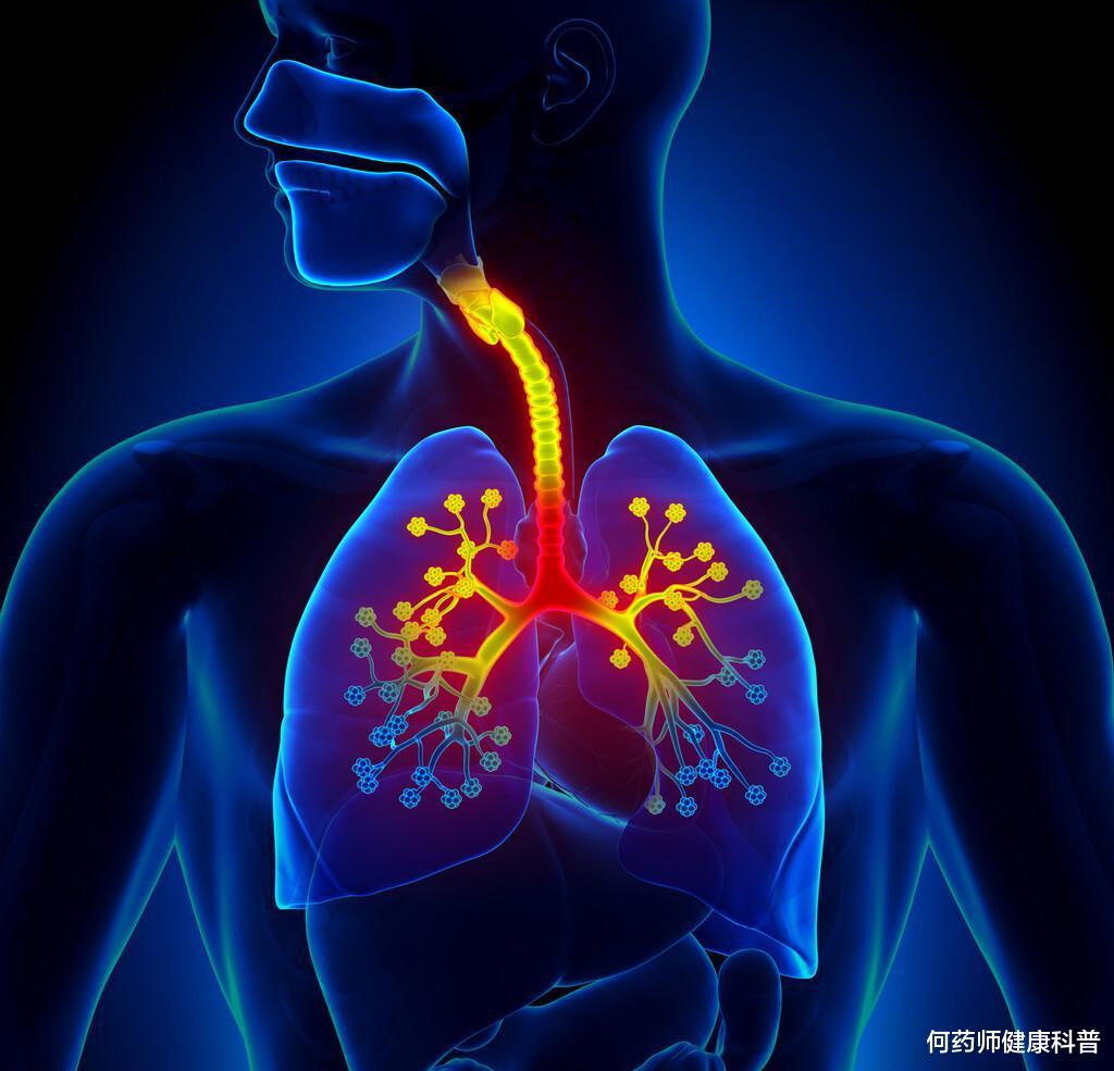 人参|麦冬、人参、五味子一起泡水喝，有什么功效？临床药师说出实情