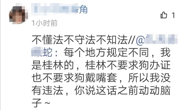 三线以下城市遛狗都不需要栓绳？非著名宠物博主与粉丝开杠了