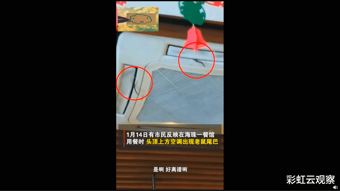 彩虹云观察 顾客用餐时头顶空调钻出老鼠，掉落不明物体，顾客要求免单被拒！