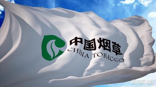 『净利润』中国烟草公司年上税超万亿，为何排不进世界五百强