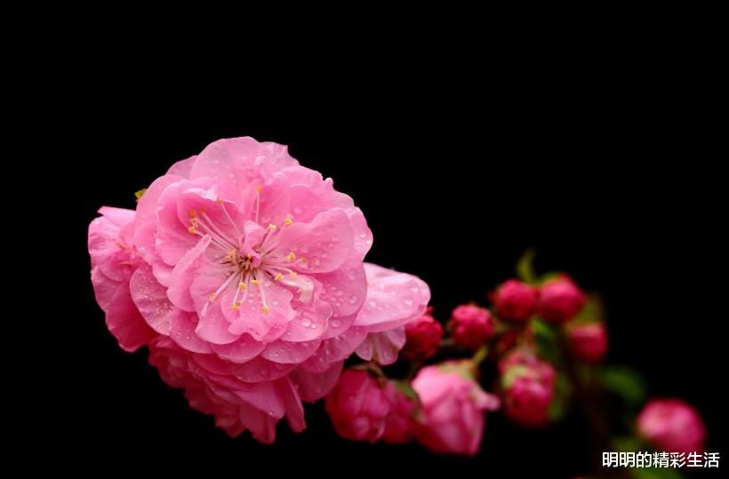 ：7月6号接好运！偏财降，3属相财库满满，成为大红人