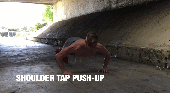 [俯卧撑]以凡人修仙的方式打开俯卧撑，做到渡劫期我裂开了...