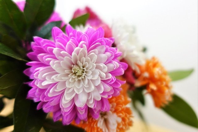 双子座|容貌不够，气质、情调来凑，很容易受到异性表白的星座女