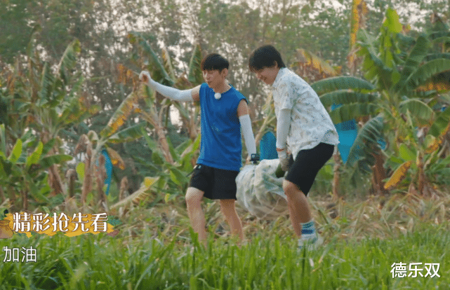【郭麒麟】同样是摘香蕉，沙溢一扛一麻袋，再看郭麒麟，才知啥叫富家子弟！