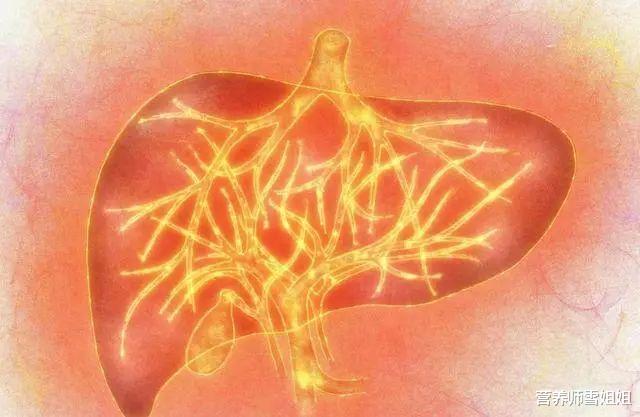 #肝脏#肝脏病变，大多不痛不痒，上厕所出现3个异常，当心肝脏正在坏掉