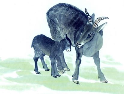 「属鸡」四月一到，桃花旺盛，不愁找不到真爱的三大生肖！