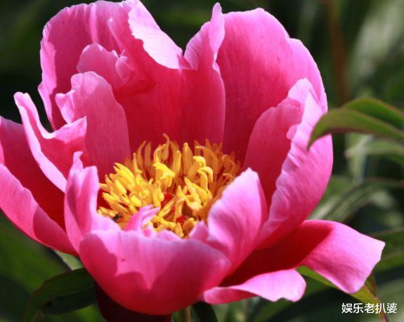 【水瓶座】未来一周，余情未消，爱意喧闹，3星座不忍放手，与旧爱厮守今生