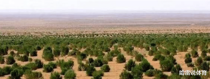 「美国」令世界的人民瞩目，中国又宣布了一项决定？美国：厉害了中国！