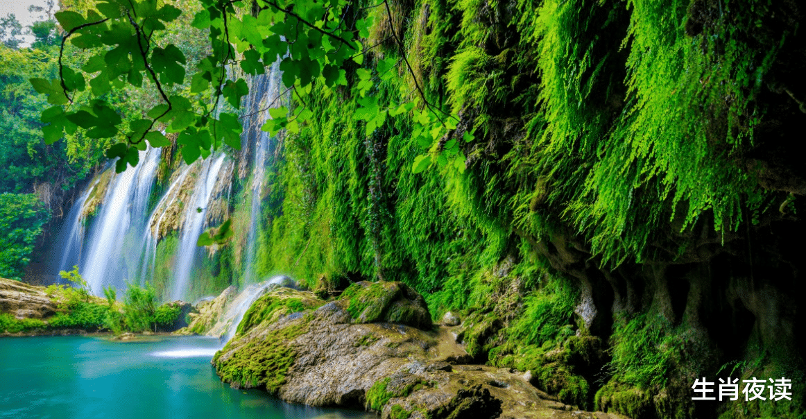 |11月，月老牵线，爱情回头，余生不弃，前任复合，今生爱得美满