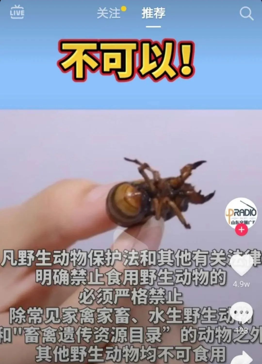 山东商报|知了猴还能吃吗？山东禁食名单已出！商报记者探访济南金蝉养殖村……