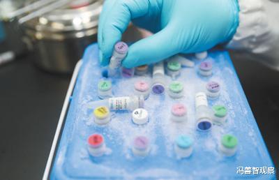 [羊驼]神兽羊驼成人类救星？全球确诊直奔250万，科学家的发现振奋人心