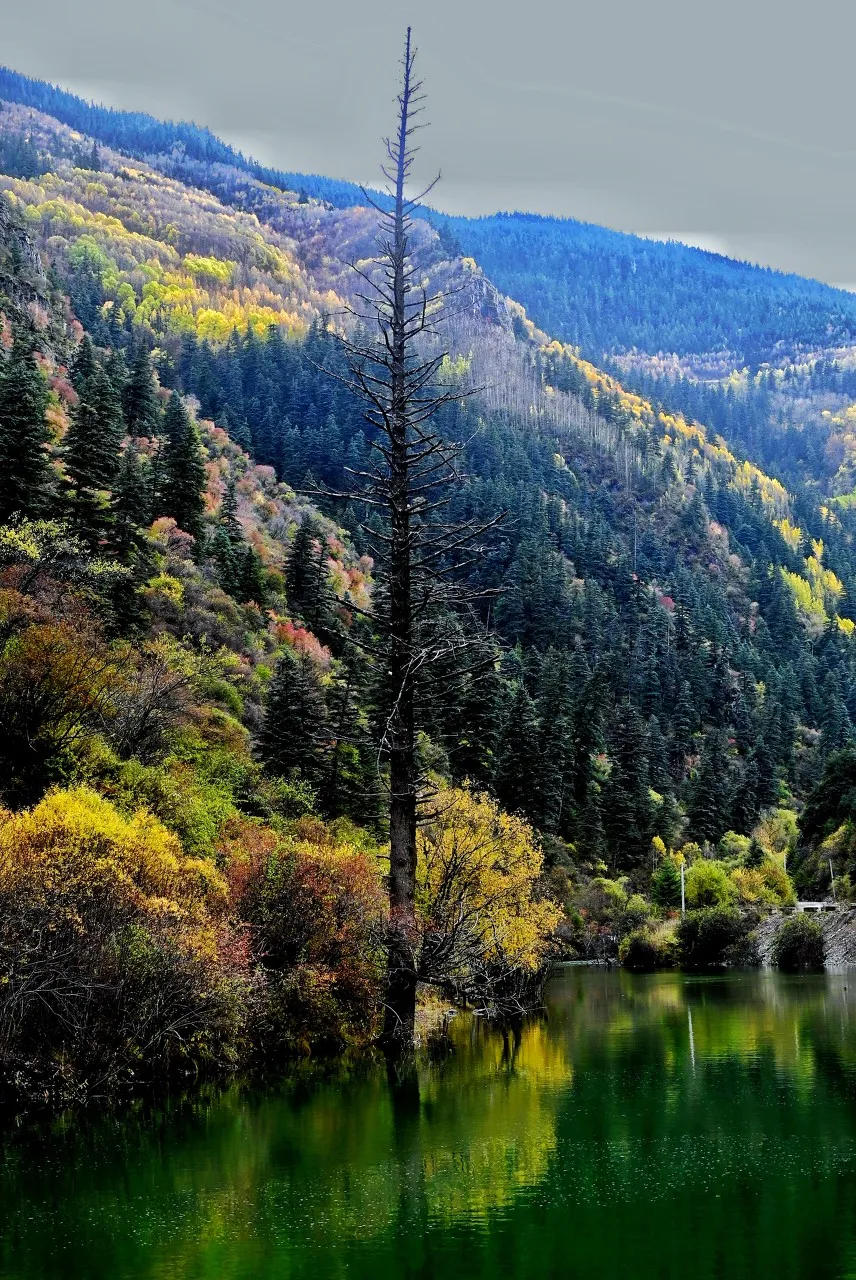 「稻城亚丁」唯一敢叫板稻城亚丁的地方!就在318旁,却低调少有人知,庆幸未火!