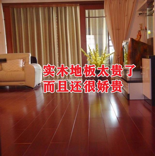 |新房装修真是倒了血霉！轻言误信装了这17个遗憾事！个个是灾