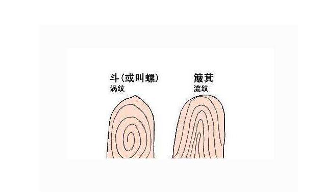【长寿】手指上的簸箕与斗跟寿命有关？是科学还是迷信？医生说出实话！