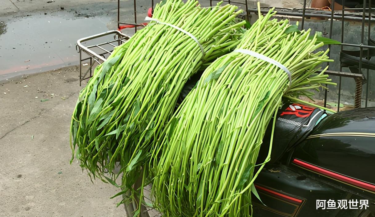 青菜|中国的一种蔬菜，国内不起眼，但是在美国换了名字，比肉价还贵