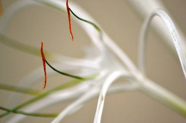 「生肖」6月过后，姻缘逆袭，前缘再现，4大生肖破冰和好，再度相爱