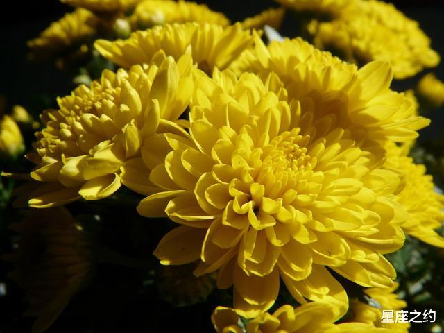 「金牛座」在6月下旬，情丝难断，相思如雨，握手言和的三大星座