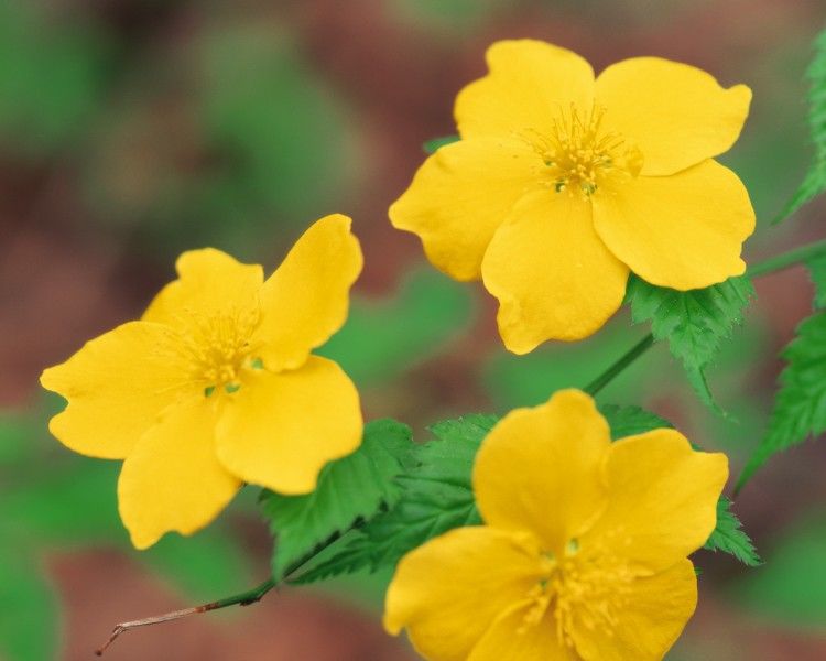 |未来90天,好运滚滚来,事业格局好,大小财入户,大富大贵的生肖