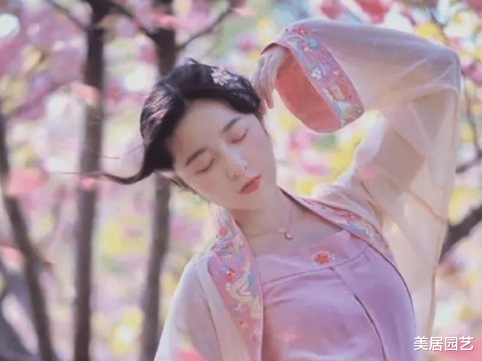 朱之文|为啥徐娇一直宣传汉服,却遭到汉服圈排挤?看到最新造型,明白了