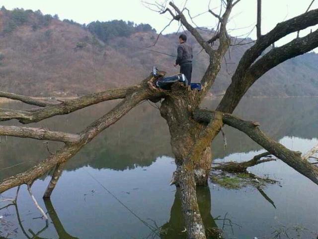 大爷|钓鱼人的奇闻怪事！钓鱼趣事（三）