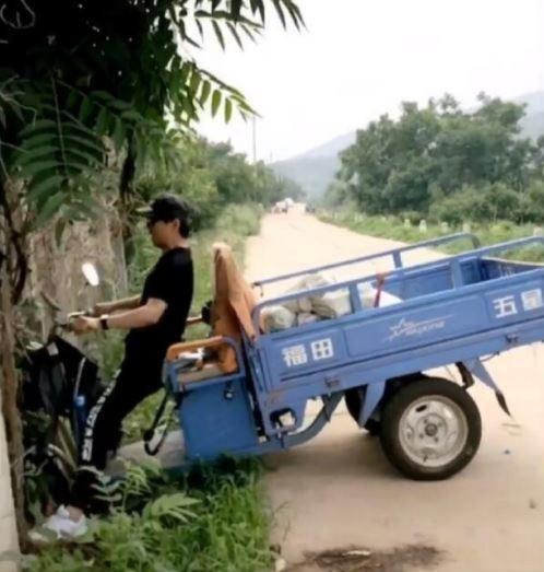 章子怡|汪峰章子怡举家出游！3个孩子全出镜，突遇“车祸”乱阵脚！