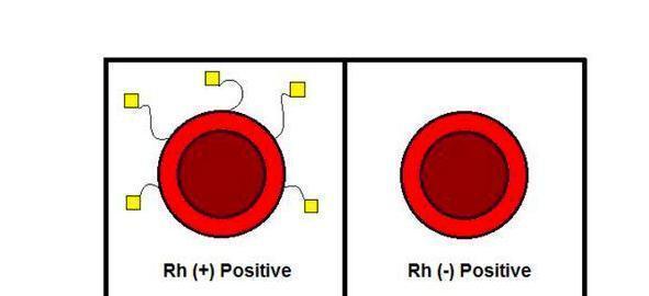 疾控■我国最罕见血型在江苏出现,已被国际基因库收录,全球仅此一例