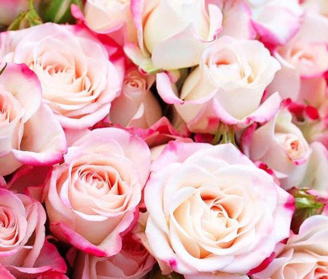 处女座|越相处越喜欢的星座，回味无穷，魅力大，时间是一把“美工刀”