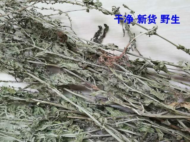 马鞭草|马鞭草全身都是宝,促进新陈代谢和清热解毒,看看你是否适合饮用