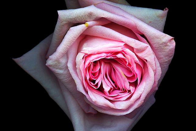 巨蟹座■太长情,太专情,太深情的三大星座,向往爱情,但总是一片真心给错人