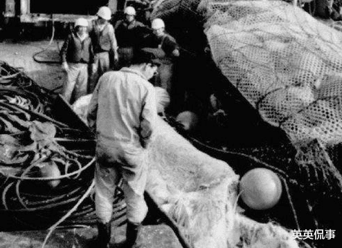 『水底奥秘』日本历史上最蠢的船长： 因担心一船鱼的新鲜，而抛弃一史前巨兽