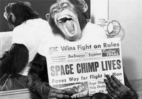 木星■59年前，美国将一只黑猩猩送入太空，返回后却发现情况有些不太对