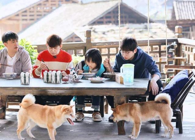 海清■《向往的生活》首次行李最少的嘉宾，背着一个书包就来了，真潇洒