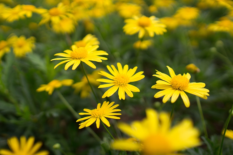 生肖|9月开始财气旺盛，贵人支持，月月往上爬的4生肖